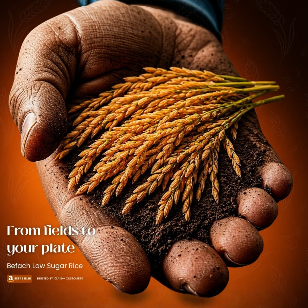From the paddy field — Sona Masoori, hand-harvested