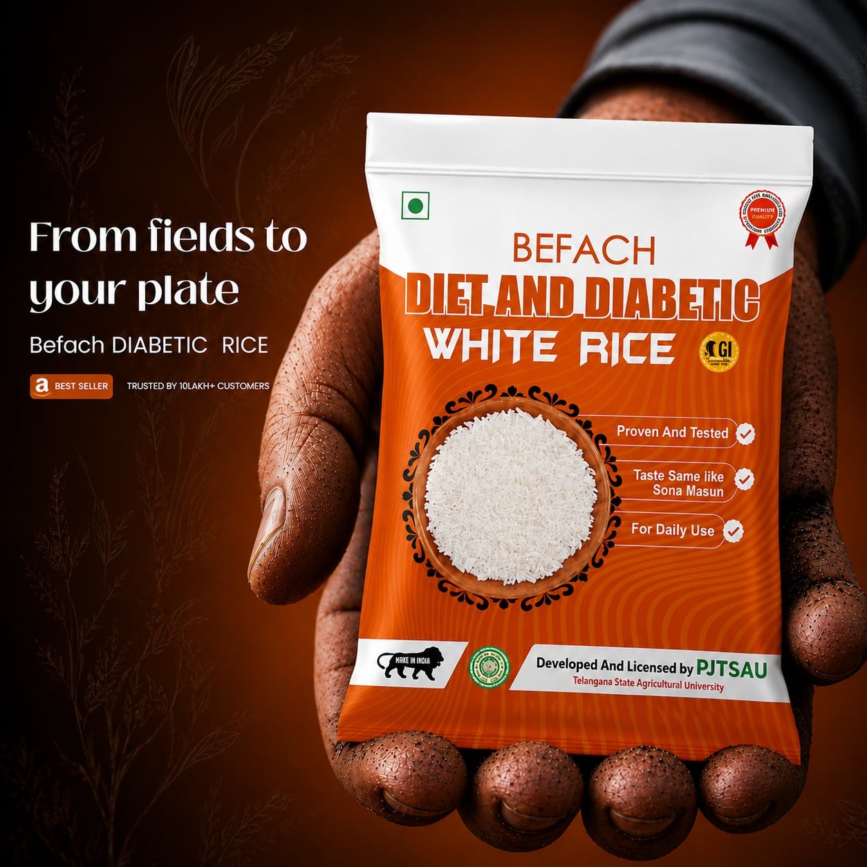 Befach Diet & Diabetic Rice pack delivered to your hand